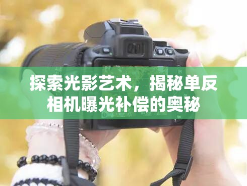 探索光影藝術(shù)，揭秘單反相機(jī)曝光補(bǔ)償?shù)膴W秘