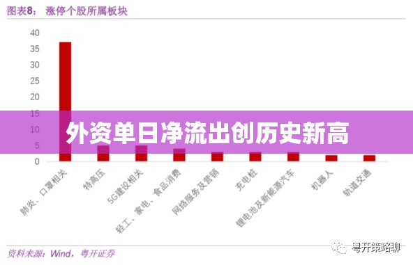 外資單日凈流出創(chuàng)歷史新高