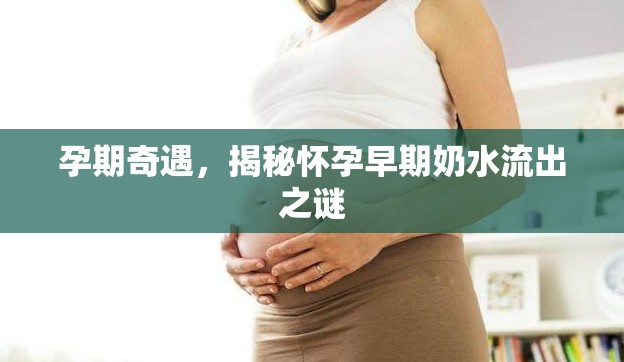 孕期奇遇，揭秘懷孕早期奶水流出之謎