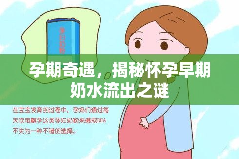 孕期奇遇，揭秘懷孕早期奶水流出之謎