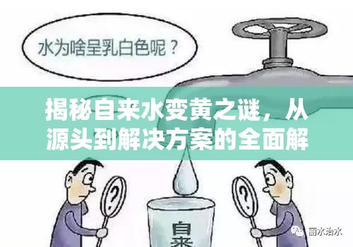 揭秘自來水變黃之謎，從源頭到解決方案的全面解析