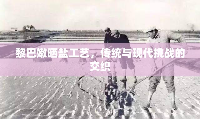 黎巴嫩曬鹽工藝，傳統(tǒng)與現(xiàn)代挑戰(zhàn)的交織