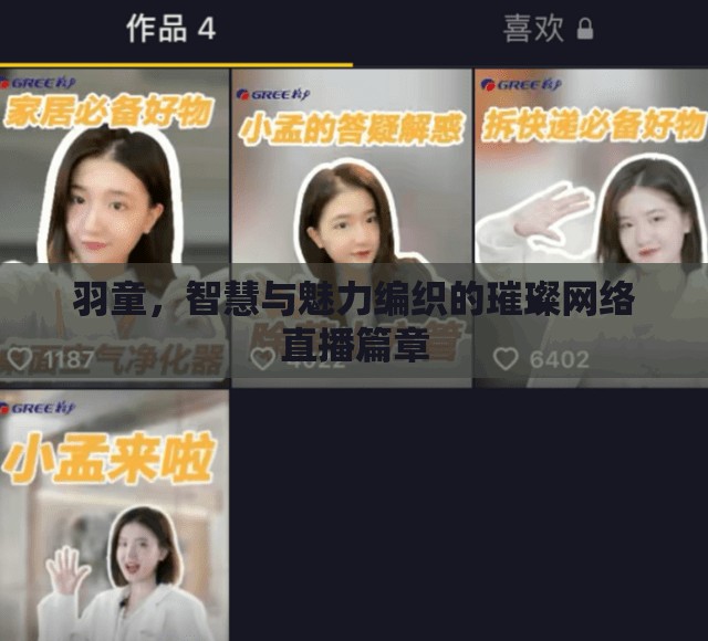 羽童，智慧與魅力編織的璀璨網(wǎng)絡(luò)直播篇章