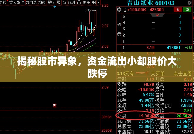 揭秘股市異象，資金流出小卻股價(jià)大跌停