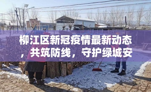 柳江區(qū)新冠疫情最新動態(tài)，共筑防線，守護(hù)綠城安寧