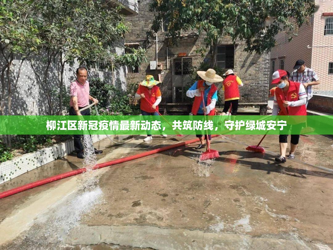 柳江區(qū)新冠疫情最新動態(tài)，共筑防線，守護(hù)綠城安寧