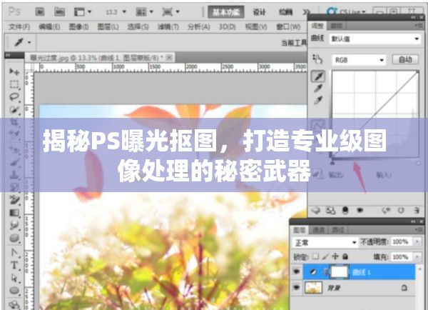 揭秘PS曝光摳圖，打造專業(yè)級(jí)圖像處理的秘密武器