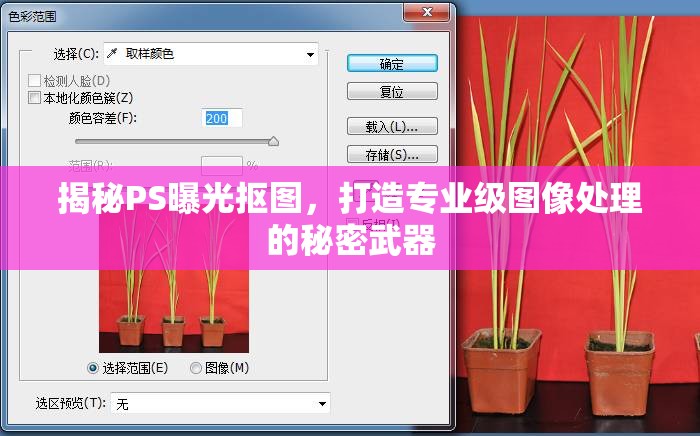 揭秘PS曝光摳圖，打造專業(yè)級(jí)圖像處理的秘密武器