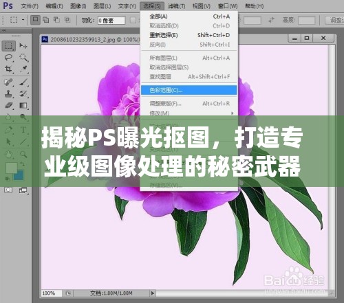 揭秘PS曝光摳圖，打造專業(yè)級(jí)圖像處理的秘密武器