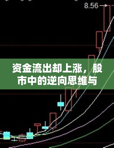 資金流出卻上漲，股市中的逆向思維與市場心理解析