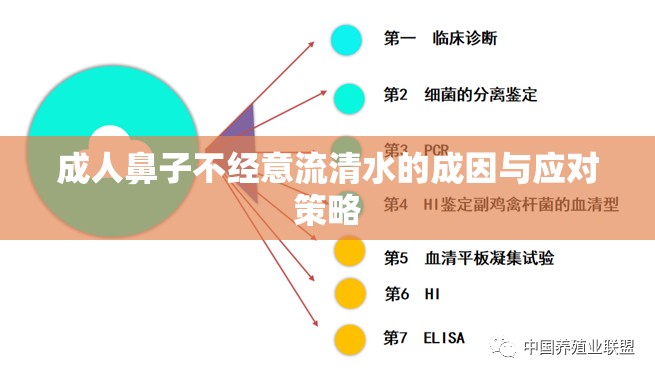 成人鼻子不經(jīng)意流清水的成因與應對策略