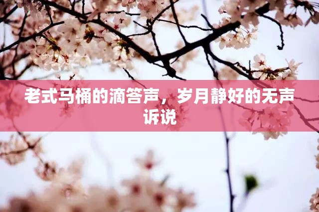 老式馬桶的滴答聲，歲月靜好的無聲訴說