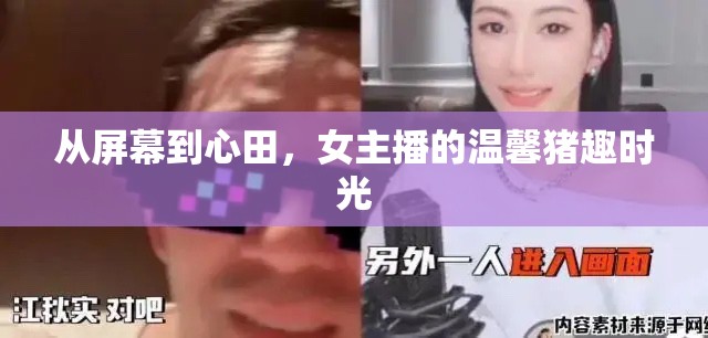 從屏幕到心田，女主播的溫馨豬趣時光