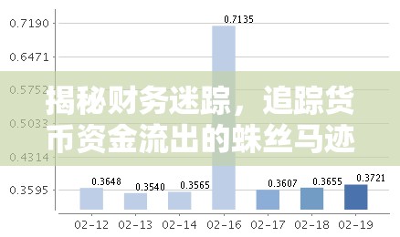 揭秘財(cái)務(wù)迷蹤，追蹤貨幣資金流出的蛛絲馬跡