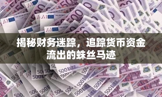揭秘財(cái)務(wù)迷蹤，追蹤貨幣資金流出的蛛絲馬跡