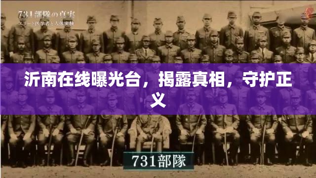 沂南在線曝光臺(tái)，揭露真相，守護(hù)正義
