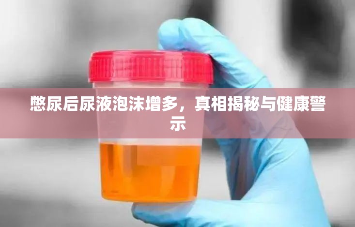 憋尿后尿液泡沫增多，真相揭秘與健康警示