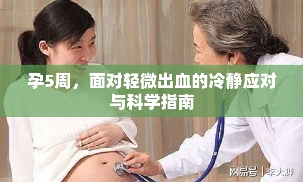 孕5周，面對(duì)輕微出血的冷靜應(yīng)對(duì)與科學(xué)指南