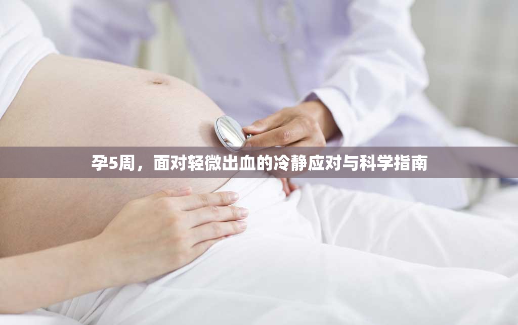 孕5周，面對(duì)輕微出血的冷靜應(yīng)對(duì)與科學(xué)指南