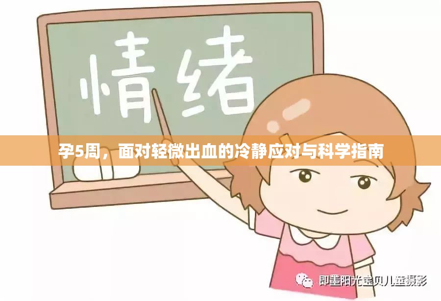 孕5周，面對(duì)輕微出血的冷靜應(yīng)對(duì)與科學(xué)指南