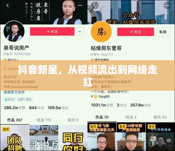 抖音新星，從視頻流出到網(wǎng)絡(luò)走紅