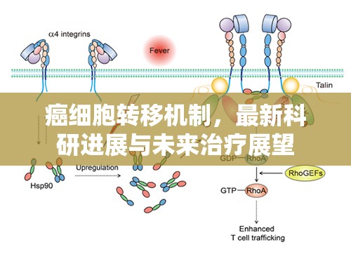 癌細胞轉(zhuǎn)移機制，最新科研進展與未來治療展望
