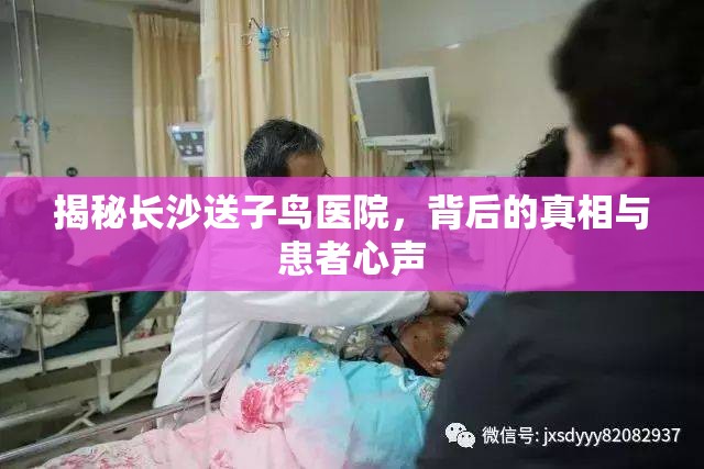 揭秘長沙送子鳥醫(yī)院，背后的真相與患者心聲
