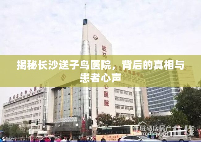 揭秘長沙送子鳥醫(yī)院，背后的真相與患者心聲