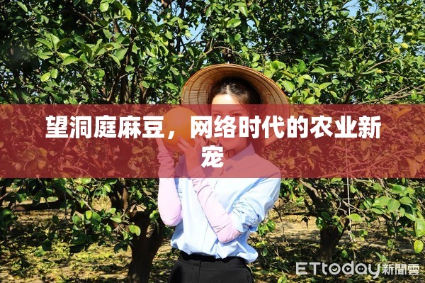 望洞庭麻豆，網(wǎng)絡(luò)時代的農(nóng)業(yè)新寵