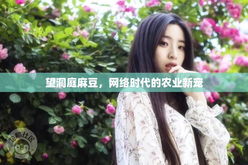 望洞庭麻豆，網(wǎng)絡(luò)時代的農(nóng)業(yè)新寵