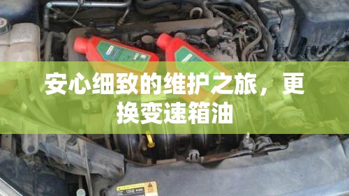 安心細致的維護之旅，更換變速箱油