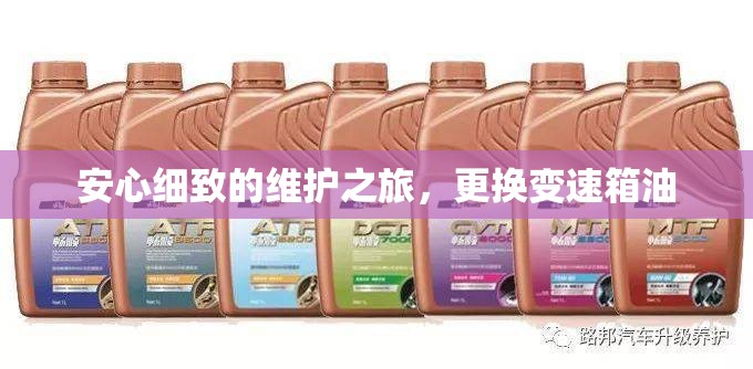 安心細致的維護之旅，更換變速箱油