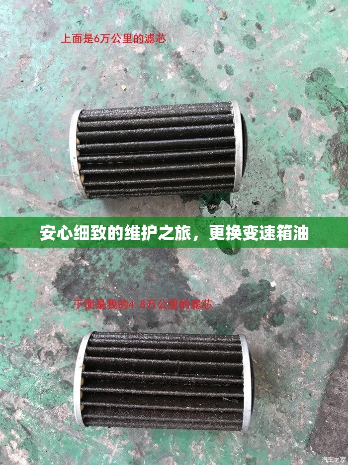 安心細致的維護之旅，更換變速箱油