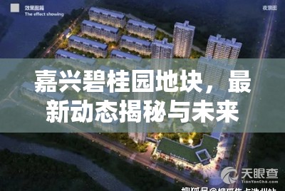 嘉興碧桂園地塊，最新動(dòng)態(tài)揭秘與未來展望