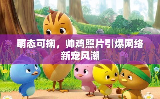 萌態(tài)可掬，帥雞照片引爆網(wǎng)絡(luò)新寵風(fēng)潮