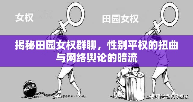 揭秘田園女權(quán)群聊，性別平權(quán)的扭曲與網(wǎng)絡(luò)輿論的暗流