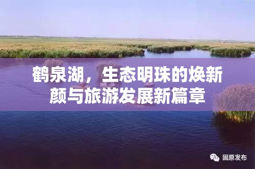 鶴泉湖，生態(tài)明珠的煥新顏與旅游發(fā)展新篇章