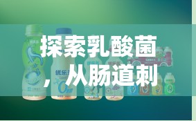 探索乳酸菌，從腸道刺激到健康新紀(jì)元的奇妙之旅