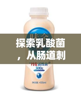 探索乳酸菌，從腸道刺激到健康新紀(jì)元的奇妙之旅