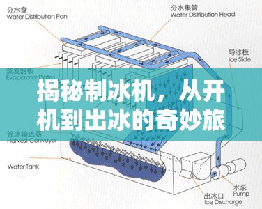 揭秘制冰機(jī)，從開機(jī)到出冰的奇妙旅程