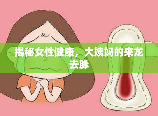 揭秘女性健康，大姨媽的來龍去脈