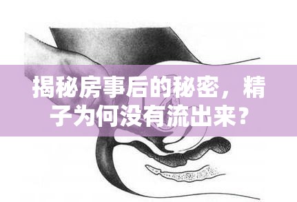 揭秘房事后的秘密，精子為何沒有流出來？