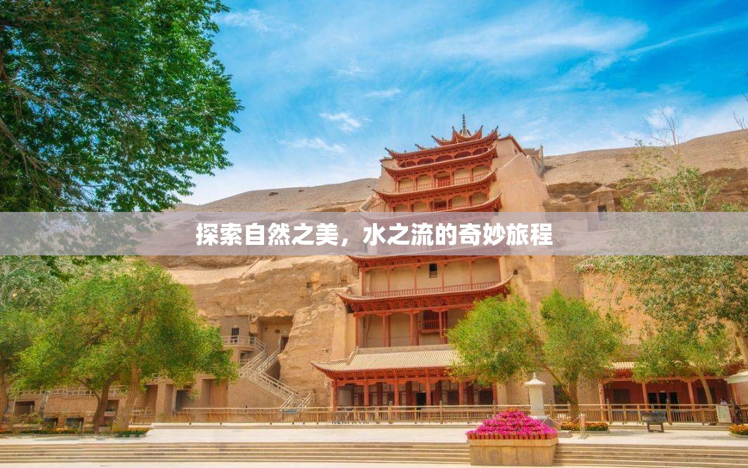 探索自然之美，水之流的奇妙旅程