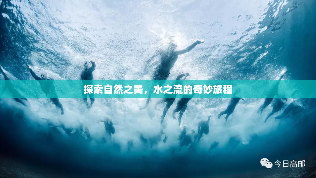 探索自然之美，水之流的奇妙旅程