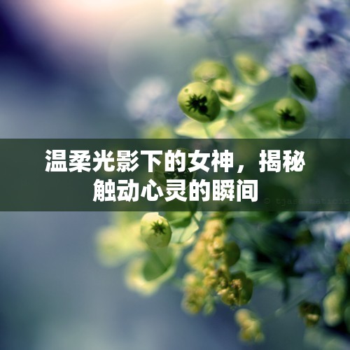 溫柔光影下的女神，揭秘觸動心靈的瞬間