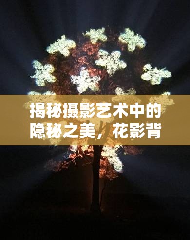 揭秘攝影藝術(shù)中的隱秘之美，花影背后的藝術(shù)魅力
