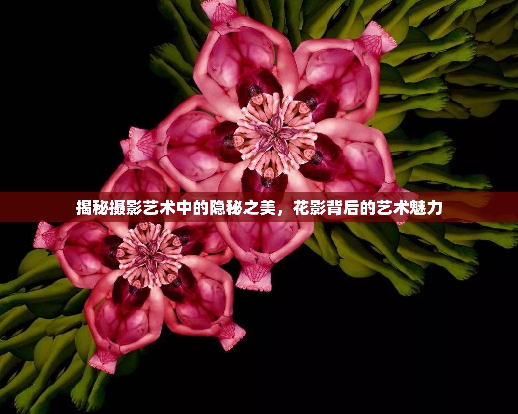 揭秘攝影藝術(shù)中的隱秘之美，花影背后的藝術(shù)魅力