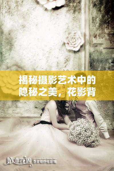揭秘攝影藝術(shù)中的隱秘之美，花影背后的藝術(shù)魅力