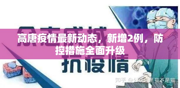 高唐疫情最新動態(tài)，新增2例，防控措施全面升級