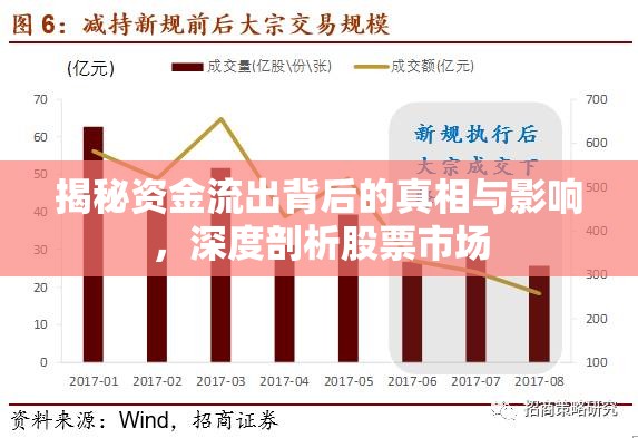揭秘資金流出背后的真相與影響，深度剖析股票市場(chǎng)